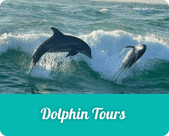 a man riding a wave on a surfboard in the water