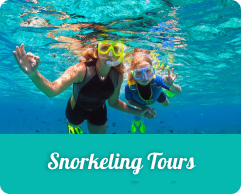 a person swimming in the water